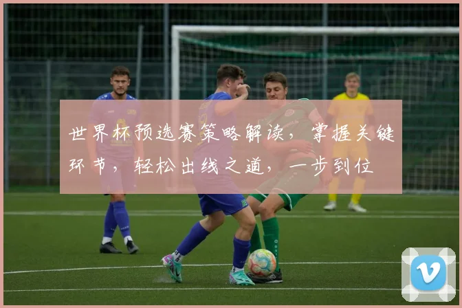 世界杯预选赛策略解读，掌握关键环节，轻松出线之道，一步到位