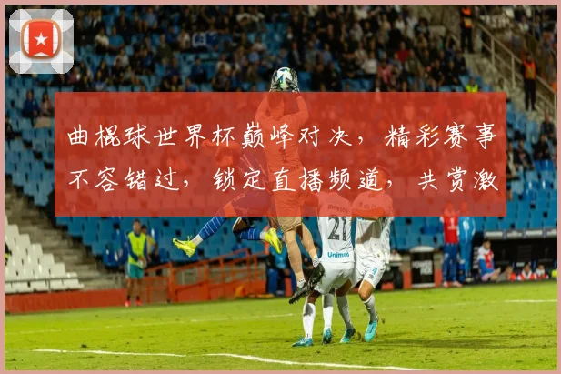 曲棍球世界杯巅峰对决，精彩赛事不容错过，锁定直播频道，共赏激情碰撞