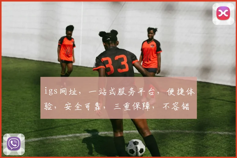 igs网址，一站式服务平台，便捷体验，安全可靠，三重保障，不容错过