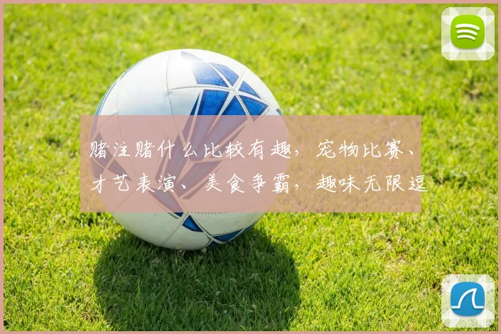 赌注赌什么比较有趣，宠物比赛、才艺表演、美食争霸，趣味无限逗不停