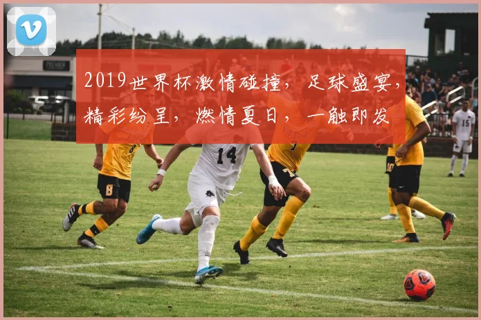 2019世界杯激情碰撞，足球盛宴，精彩纷呈，燃情夏日，一触即发