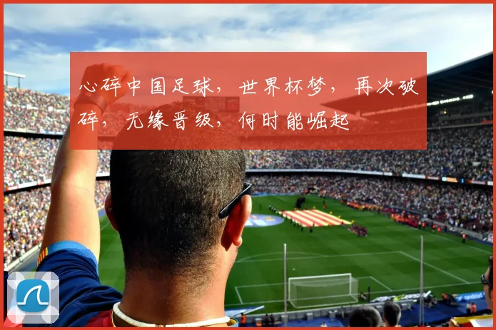 心碎中国足球，世界杯梦，再次破碎，无缘晋级，何时能崛起